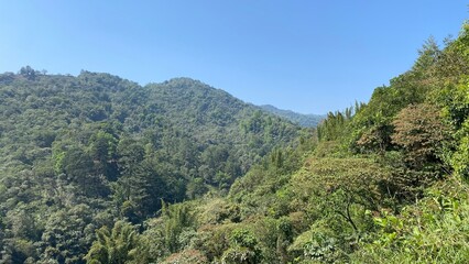 photography in nature on the way to Las Golondrinas waterfall in Cuetzalan del Progreso Puebla Mexico