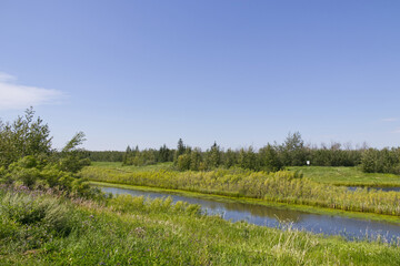 Obraz premium A Sunny Summer Day at Pylypow Wetlands
