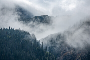 Fog in the morning in the mountain peaks in St. Juan mountains Colorado sunset rainstorm - obrazy, fototapety, plakaty