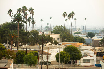 Palm trees frame the urban core of downtown Inglewood, California, USA.