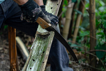 Man holding heavy ax. Axe in lumberjack hands chopping or cutting wood trunks