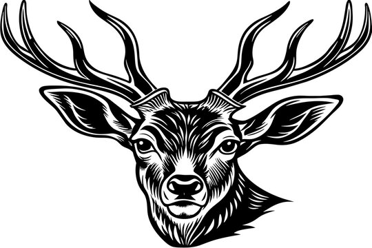deer-head-vector-illustration 