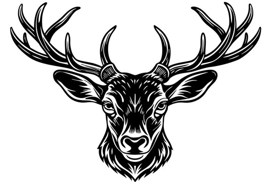 deer-head-vector-illustration 