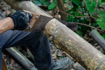 Man holding heavy ax. Axe in lumberjack hands chopping or cutting wood trunks