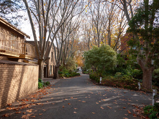 A tranquil residential street lined with bare trees, adorned with fallen autumn leaves, and flanked by charming townhouses, quiet neighborhood in fall in inner suburbs. North Melbourne VIC Australia