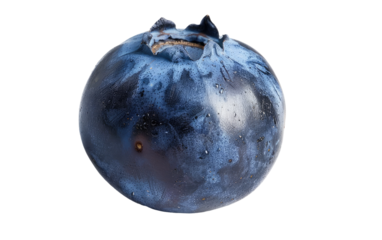 The Macroscopic World of Blueberries isolated on transparent Background