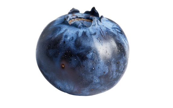 The Macroscopic World of Blueberries isolated on transparent Background