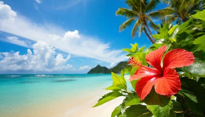 Fototapeta na wymiar Background with red hibiscus and tropical beach image .(blurred and easy to use background material)