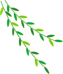 Willow Leaves Branch