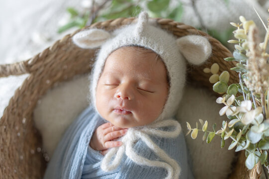 生後8日の台湾人とオーストラリア人のハーフの新生児の赤ちゃんが青いおくるみを巻かれてバスケットの中で眠っているニューボーンフォト Newborn photography of a Taiwanese and half-Australian half-born 8 days old newborn baby sleeping in a basket wrapped in a blue wrap