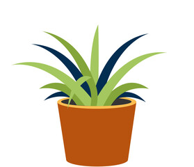 Vibrant potted plant