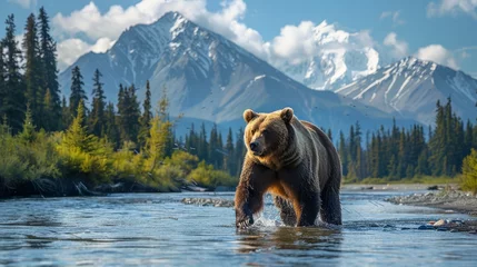 Fotobehang Brown bear standing in river with mountain backdrop in natural landscape © yuchen