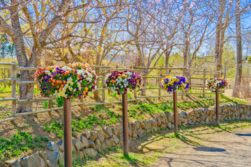 春の花咲くふなばしアンデルセン公園