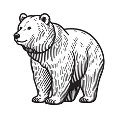 Line art of bear cartoon vector - obrazy, fototapety, plakaty
