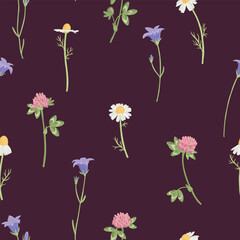 seamless pattern with field flowers, vector drawing wild flowering plants at dark purple background, floral cover design, hand drawn botanical illustration