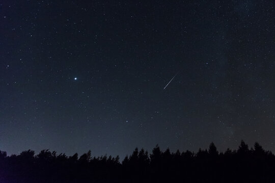 Nachthimmel mit Sternschnuppe und Milchstrasse. Silhouette von Wald.