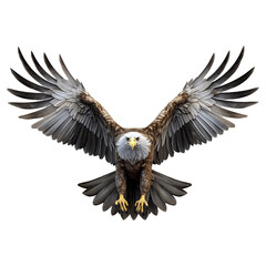 Obraz premium Flying eagle isolated on transparent background