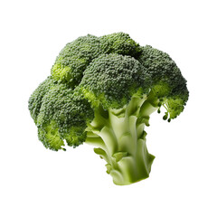 Broccoli vegetable isolated on transparent background png