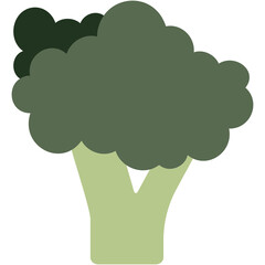 Broccoli Illustration