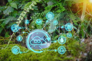 Displaying icon business value chain and sustainability. Life cycle assessment, Carbon footprint...