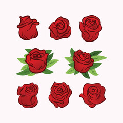 Collection set of red rose flowers on white background