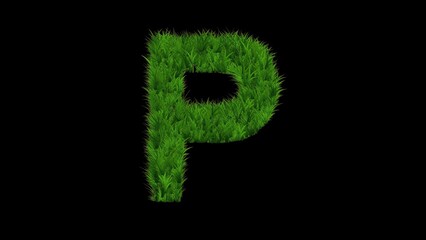 Beautiful illustration of English alphabet P with green grass on plain black background