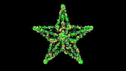 Beautiful illustration of star shape with green leaves and yellow flowers on plain black background