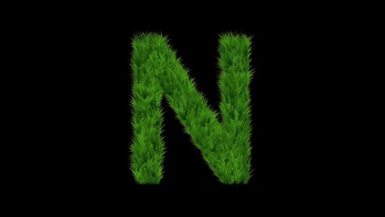 Beautiful illustration of English alphabet N with green grass on plain black background