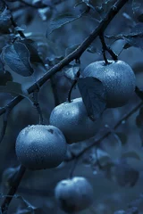 Foto op Plexiglas Moonapples, silver-hued, glowing faintly, secret garden, midnight, tranquil and mysterious. © Suritong