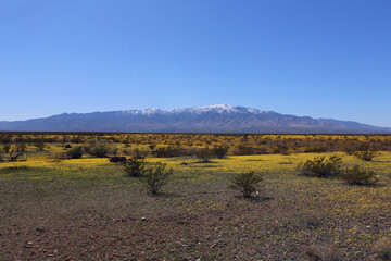 Mount Graham, Arizona