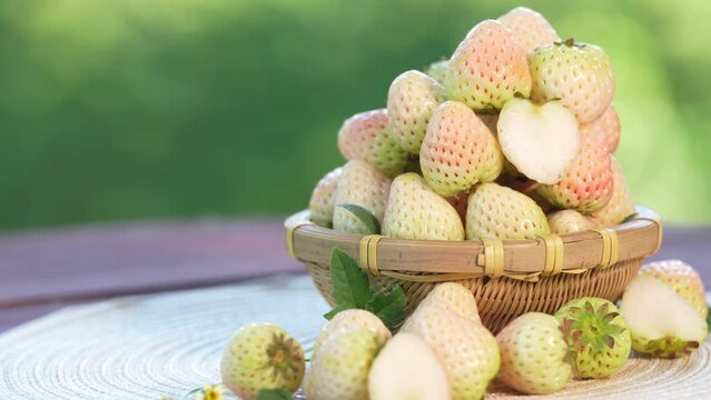 White Strawberries on wooden table in garden, Pink snow strawberry in white plate on blurred greenery background.	