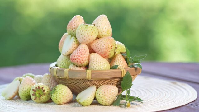 White Strawberries on wooden table in garden, Pink snow strawberry in white plate on blurred greenery background.	