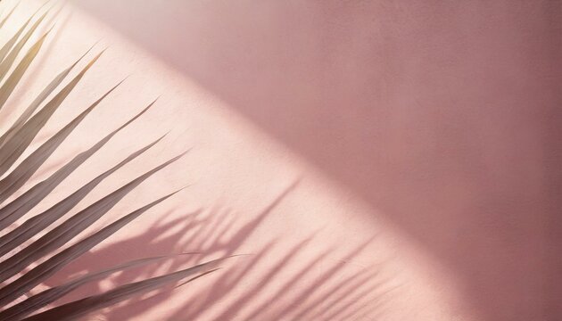  castin gup of a feather a casting gentle shadows on a serene, light pink wall. abstract background, Soft, diffused light filters through palm leaves background