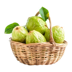 Guava fruit in basket on white transparent background. Harvest season.