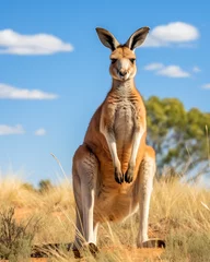 Fotobehang A majestic kangaroo stands tall against the backdrop of the Australian outback and a clear blue sky © Breyenaiimages