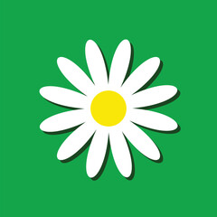 Cute flower plant, White daisy chamomile, Camomile icon Growing concept, Flat design, Green background, Vector illustration