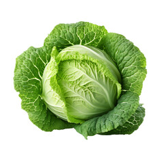 Obraz premium Cabbage isolated on transparent background