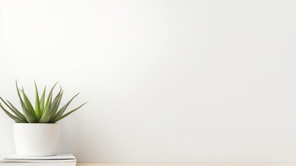 A plant in a white pot sits on a white table. The plant is green and has a leafy appearance. The table is empty, and the plant is the only object in the scene