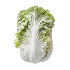 Peking cabbage isolated on transparent background