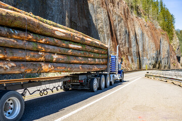 Day cab blue big rig semi truck with protection wall on the back transporting huge wood logs on the special semi trailer running on the narrow mountain road going around the high rock cliff