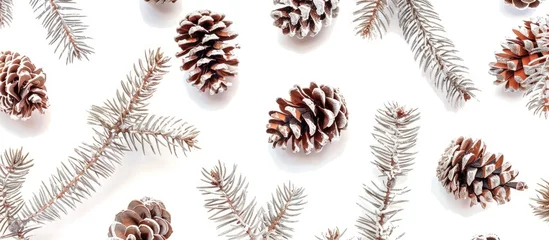 Foto auf Alu-Dibond Pine cone and branch pattern on white background for festive design. © Vusal