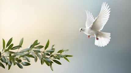  free white dove holding green leaf branch flying in the sky International Day of Peace concept background - obrazy, fototapety, plakaty