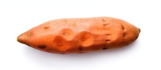A sweet potato rests on a clean white plate, ready to be transformed into a delicious dish in the cuisine world. It attracts no insects as it awaits to be turned into a healthy snack