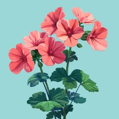 Obraz premium Flat Design, Beautiful Geranium Flower Illustration, Vector Style.