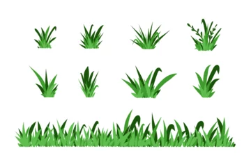 Fotobehang Green grass. Field isolated elements. Spring summer hand drawn herb, park lawn meadow sketch style, cartoon flat isolated botanical elements for decor, ecological symbol. Vector doodle illustration © Mariya