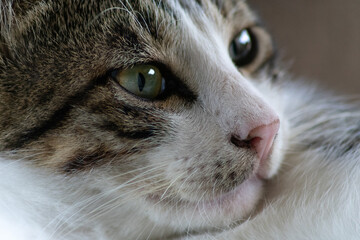 Just looking away from the camera