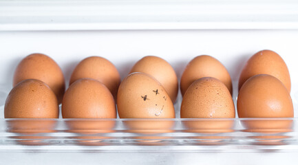 chicken eggs on a shelf of the refrigerator on a white background