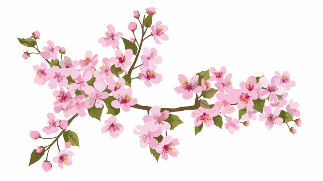 Cherry blossom watercolor Flat vector