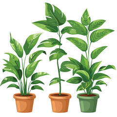 Green potted House plants Clipart  isolated on white background 