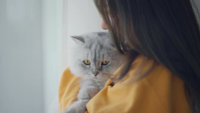 Happy asian woman hugging her cute grey persian cat with love at home, Adorable domestic pet concept, Friendship between human and their pet